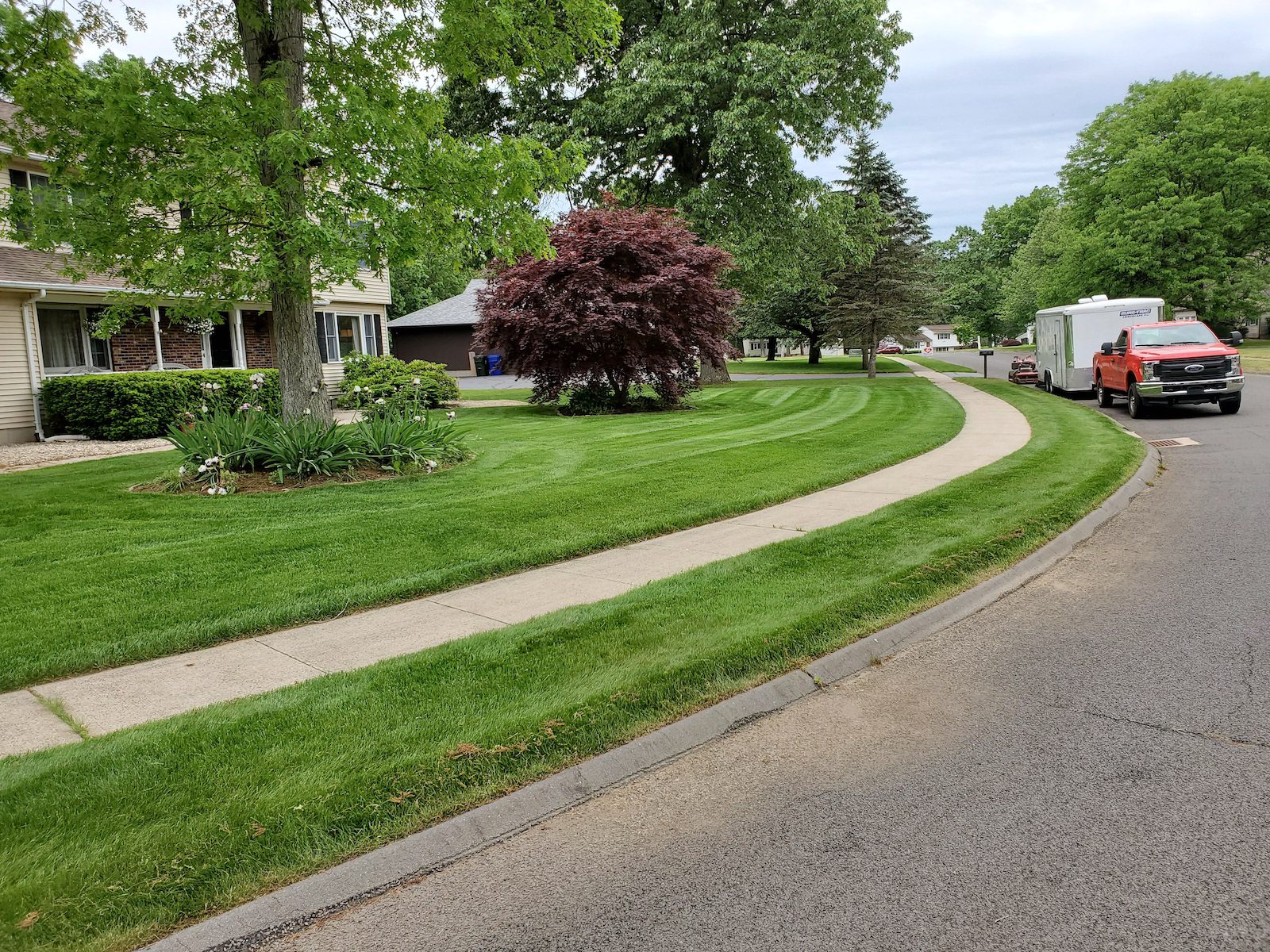 Beautify Your Avon, CT Yard with Overseeding and Other Lawn Care Services