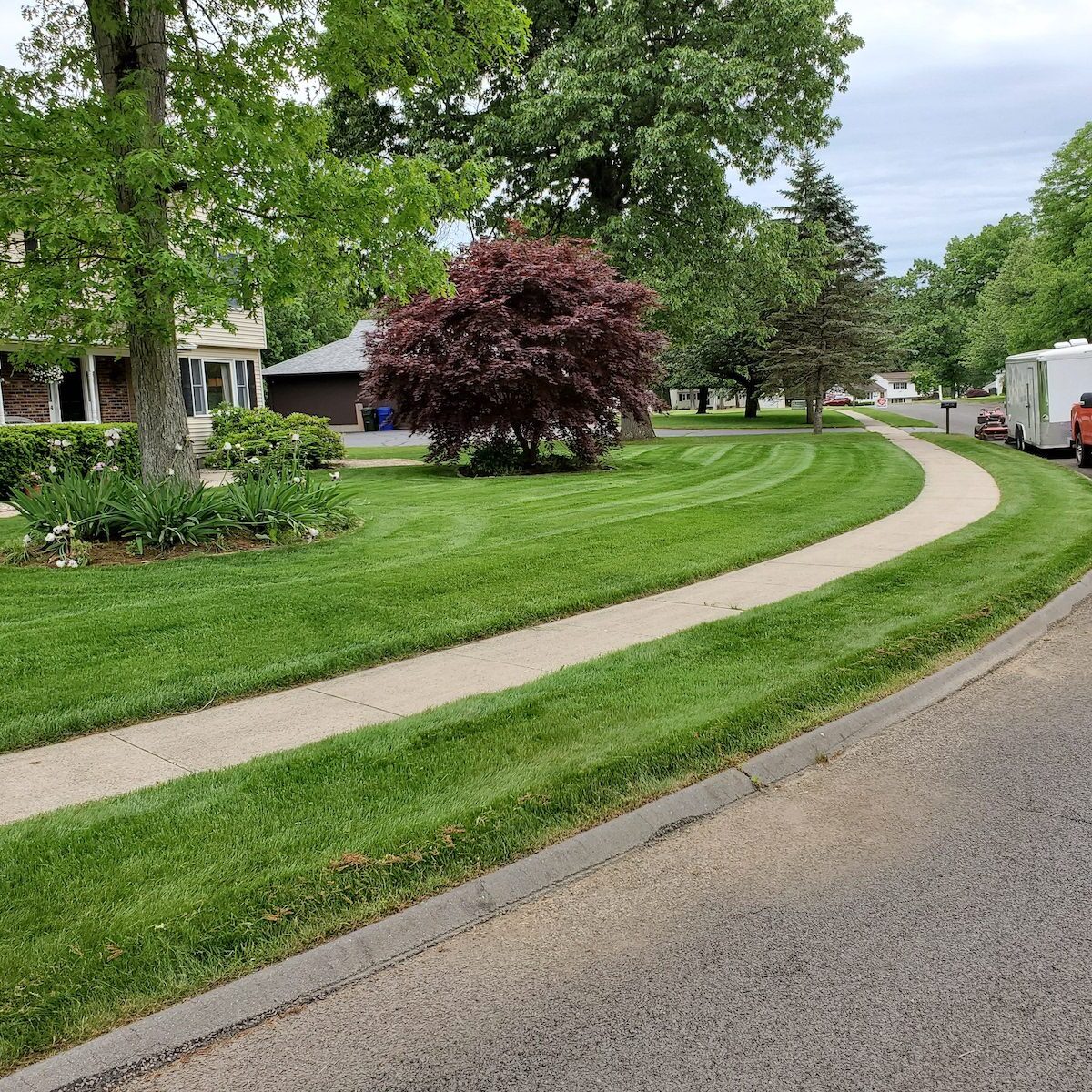 Overseeding and other Lawn Renovation Services in Avon, Connecticut
